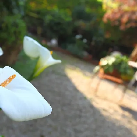 Record Ξενοδοχείο Σαν Σεμπαστιάν