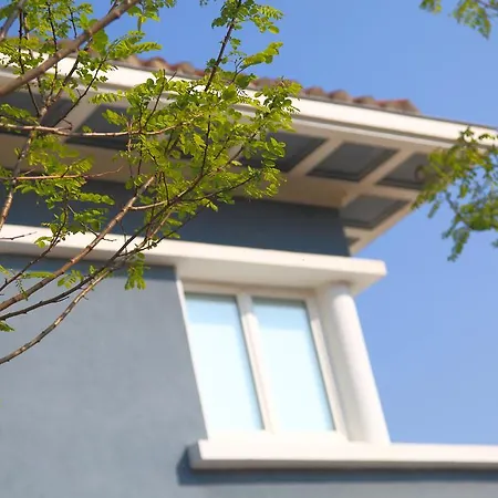 Record * サン・セバスティアン