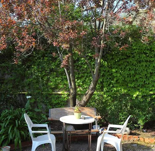 Record サン・セバスティアン