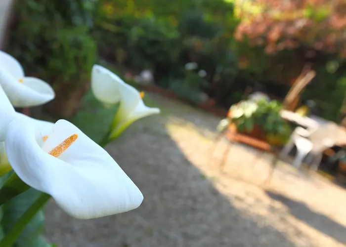 Record ホテル サン・セバスティアン