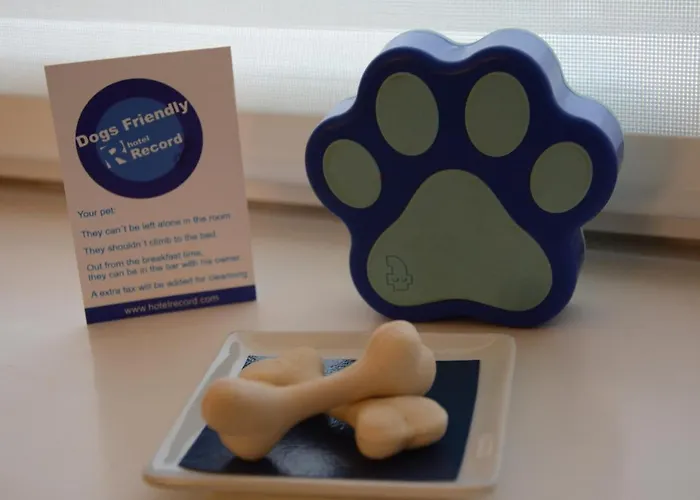 ホテル Record サン・セバスティアン